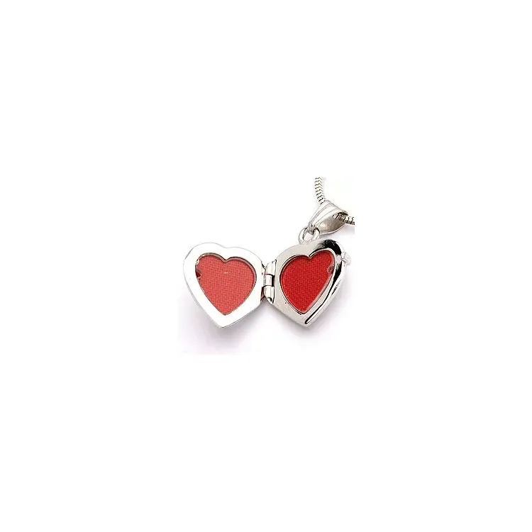 Sieraden medaillon in 9 karaat witgoud