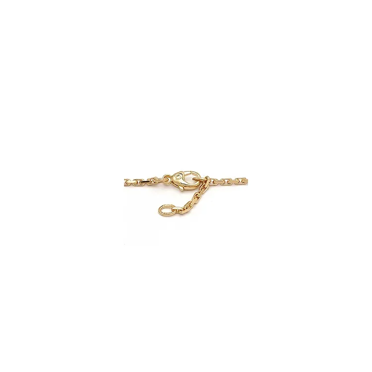 BNH enkelbandje in 8 karaat goud 24-26 cm x 2,0 mm