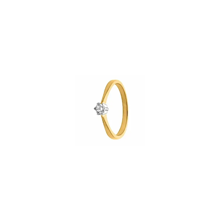 Smal diamant Damesring in 14 karaat goud-en witgoud 0,10 ct