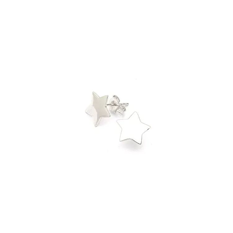 Groot ster oorbellen in zilver