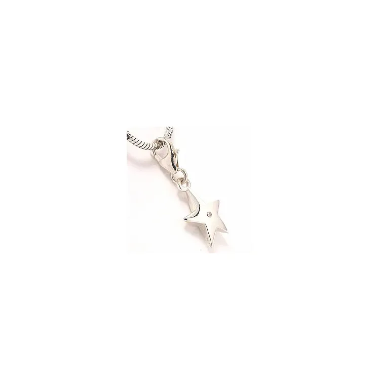 Zilver bedeltjes voor armband in zilver 