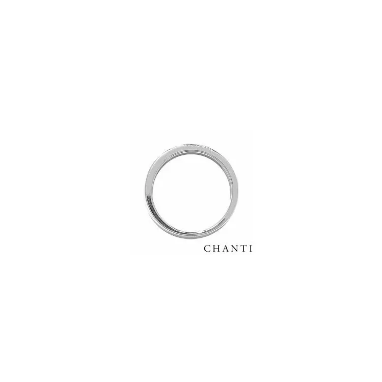 zilver ring in zilver