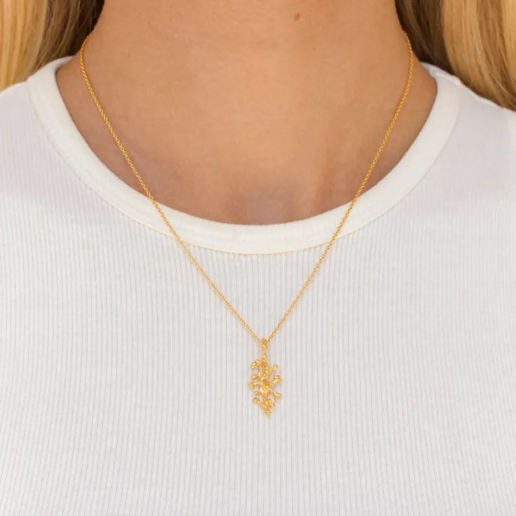 ketting in verguld sterlingzilver