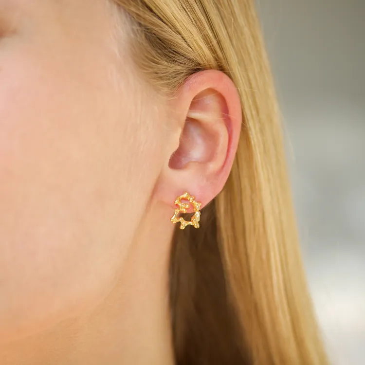 oorbellen in verguld zilver