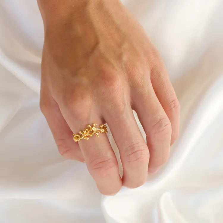 ring in verguld sterlingzilver