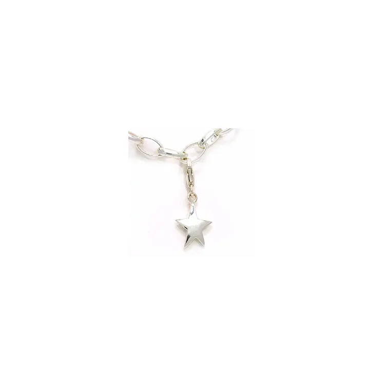Ster bedeltje in zilver