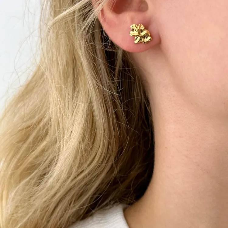 oorbellen in verguld sterlingzilver