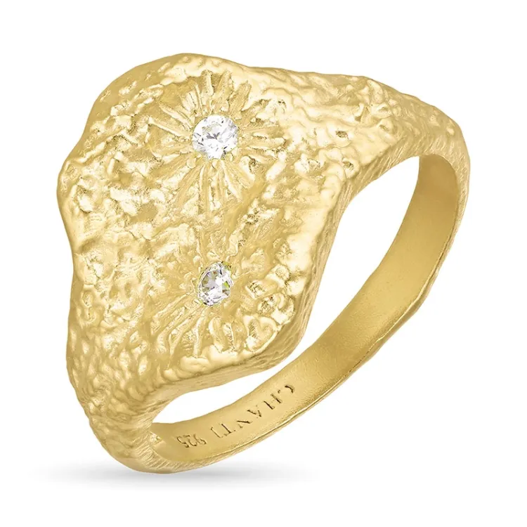 zirkoon ring in verguld sterlingzilver - Lumé Etched