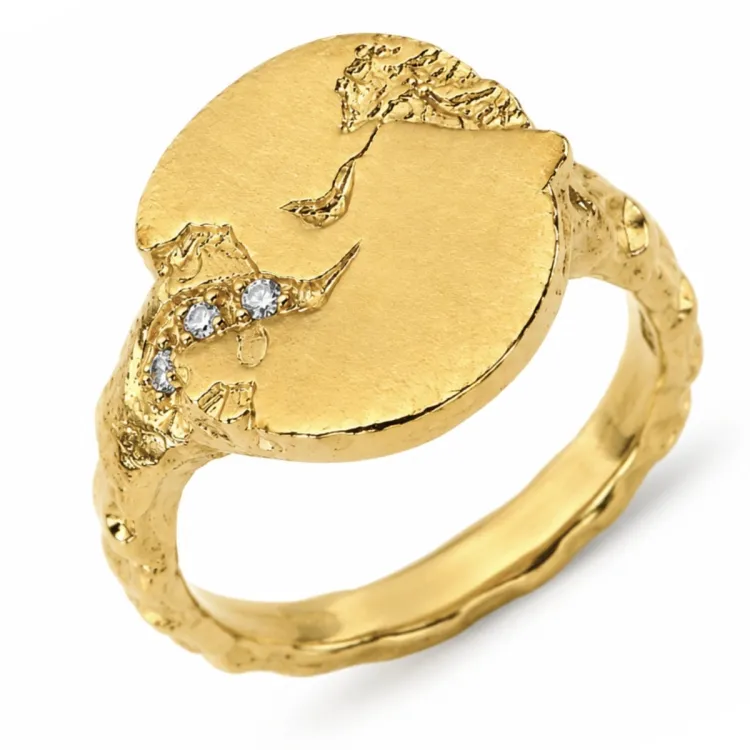 zirkoon ring in verguld messing - Lumé Etched