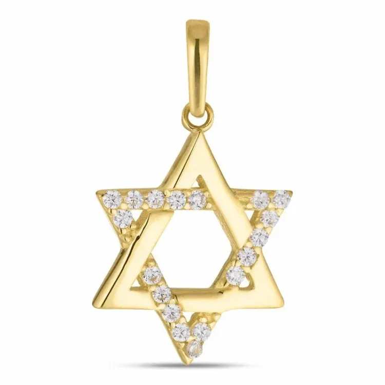 verzamelmonster davidster zirkoon hanger in 8 karaat goud - Gold Collection