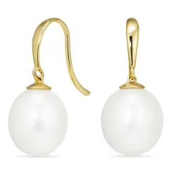 druppel oorhaakjes in 9 karaat goud - Gold Collection