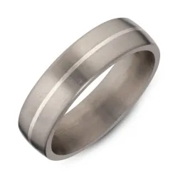 Herenring in titanium en zilver