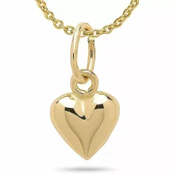 5,5 x 10,5 mm hart ketting in verguld sterlingzilver met hanger in 14 karaat goud
