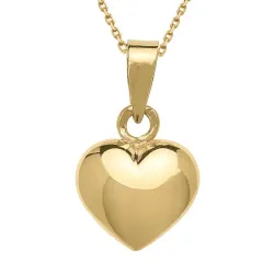 9 x 11 mm hart ketting in verguld sterlingzilver met hanger in 8 karaat goud