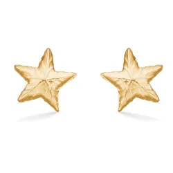Studio Z Shiny Star oorbellen in verguld sterlingzilver