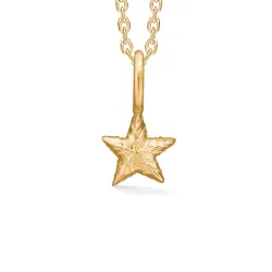 Studio Z Shiny Star ketting in verguld sterlingzilver