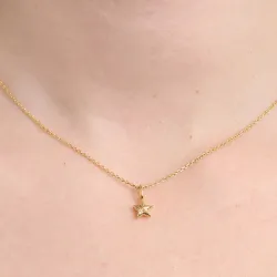 Studio Z Shiny Star ketting in verguld sterlingzilver