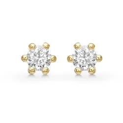 2,5 mm Støvring Design oorsteker in verguld sterlingzilver witte zirkoon