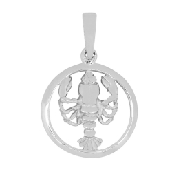 15 mm Siersbøl sterrenbeeld kreeft hanger in gerodineerd zilver