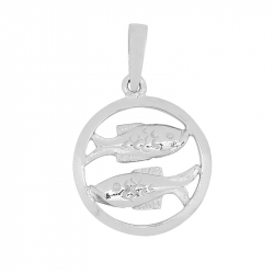 15 mm Siersbøl sterrenbeeld vissen hanger in gerodineerd zilver