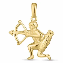 sterrenbeeld boogschutter hanger in 8 karaat goud - Gold Collection