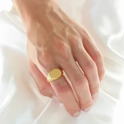 waterproof ring in verguld staal - OCEANA