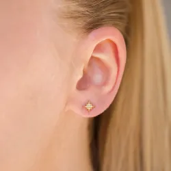 waterproof ster oorbellen in verguld staal - OCEANA