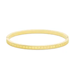 waterproof armband in verguld staal  x 4,0 mm  - OCEANA