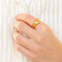 waterproof hart ring in verguld staal - OCEANA