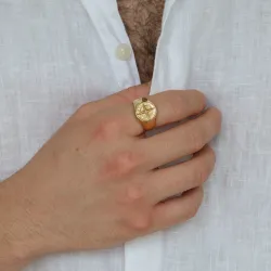 waterproof ster ring in verguld staal