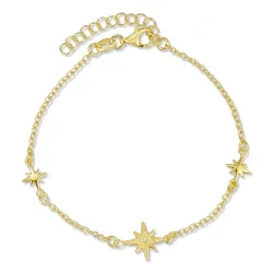 ster armband in verguld sterlingzilver
