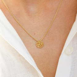 Geboorte bloem januari anjer hanger in verguld sterlingzilver