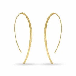 oorhaakjes in verguld sterlingzilver