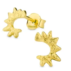 oorbellen in verguld messing - Eliné