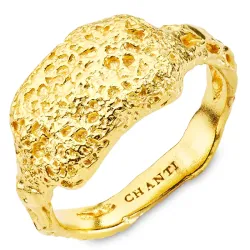 ring in verguld messing - Eliné