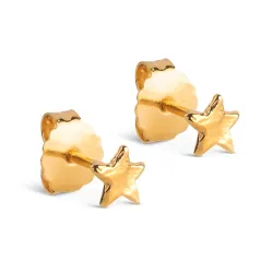 Enamel Star Energy oorsteker in verguld sterlingzilver