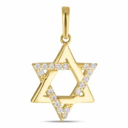 verzamelmonster davidster zirkoon hanger in 8 karaat goud - Gold Collection